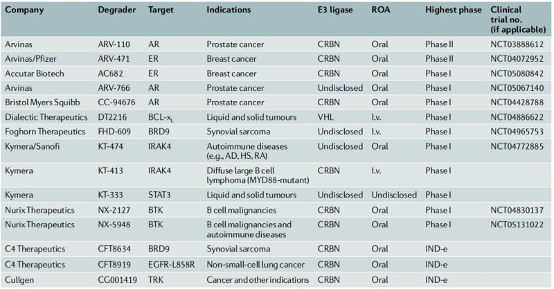 PROTAC-targeted protein degraders in clinical development